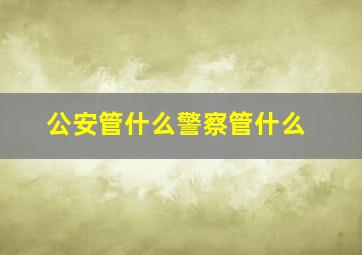 公安管什么警察管什么