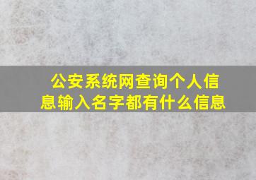 公安系统网查询个人信息输入名字都有什么信息