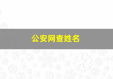 公安网查姓名