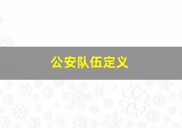 公安队伍定义