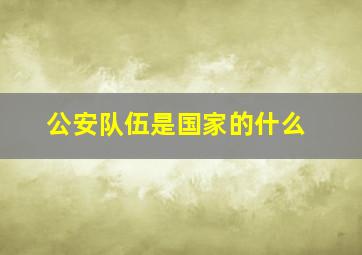 公安队伍是国家的什么