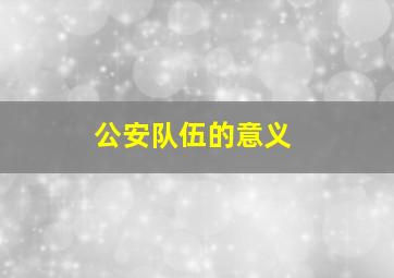 公安队伍的意义