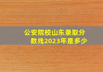 公安院校山东录取分数线2023年是多少