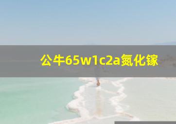 公牛65w1c2a氮化镓