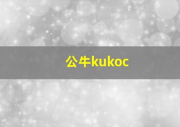 公牛kukoc