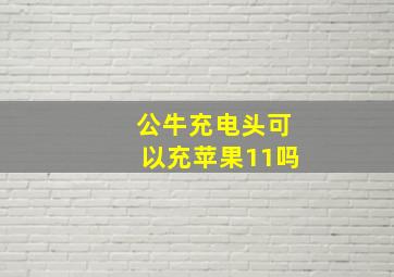 公牛充电头可以充苹果11吗