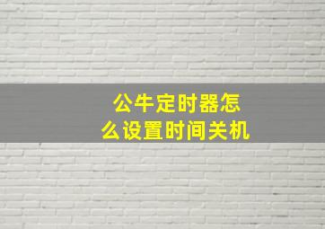 公牛定时器怎么设置时间关机