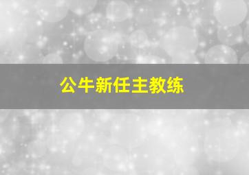 公牛新任主教练