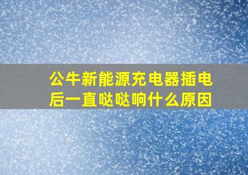 公牛新能源充电器插电后一直哒哒响什么原因