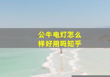 公牛电灯怎么样好用吗知乎