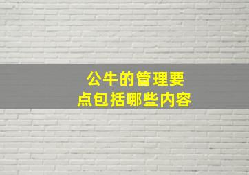 公牛的管理要点包括哪些内容