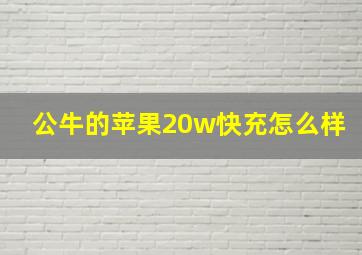 公牛的苹果20w快充怎么样