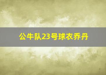 公牛队23号球衣乔丹