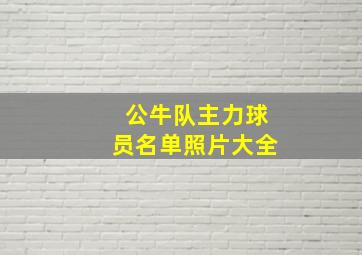 公牛队主力球员名单照片大全