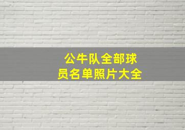 公牛队全部球员名单照片大全