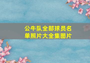 公牛队全部球员名单照片大全集图片