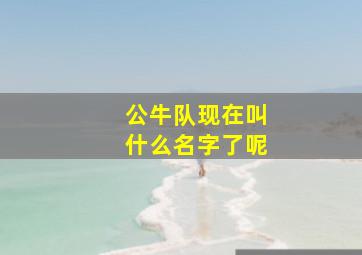 公牛队现在叫什么名字了呢