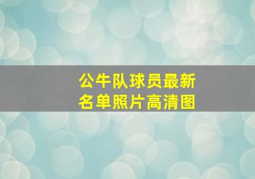 公牛队球员最新名单照片高清图