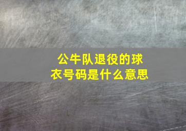 公牛队退役的球衣号码是什么意思