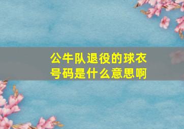 公牛队退役的球衣号码是什么意思啊