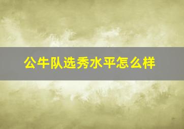 公牛队选秀水平怎么样