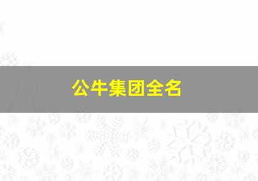 公牛集团全名