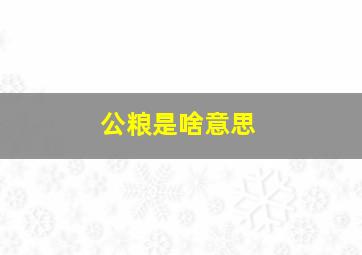 公粮是啥意思