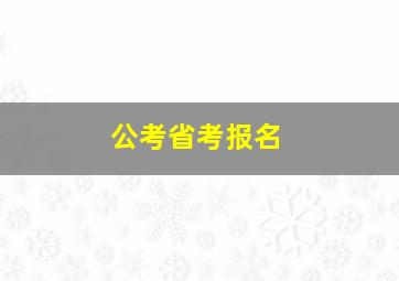 公考省考报名