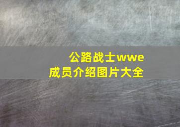 公路战士wwe成员介绍图片大全