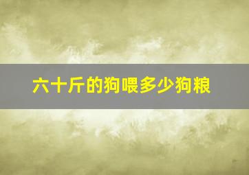 六十斤的狗喂多少狗粮