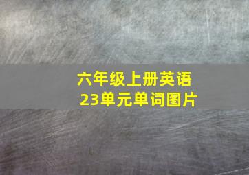 六年级上册英语23单元单词图片