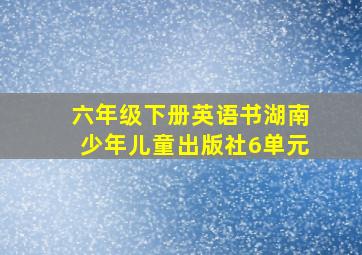 六年级下册英语书湖南少年儿童出版社6单元