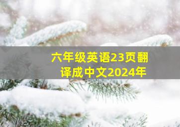 六年级英语23页翻译成中文2024年