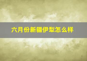 六月份新疆伊犁怎么样