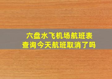 六盘水飞机场航班表查询今天航班取消了吗