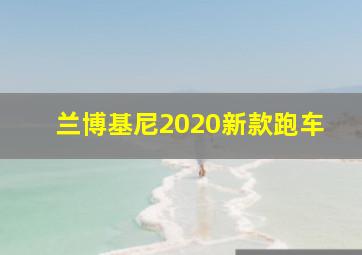 兰博基尼2020新款跑车