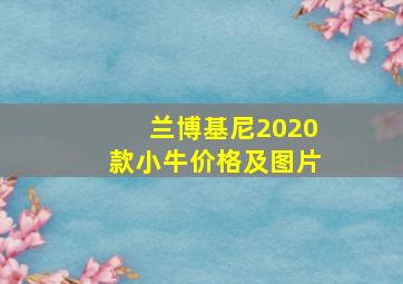 兰博基尼2020款小牛价格及图片