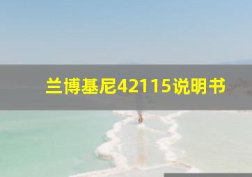 兰博基尼42115说明书