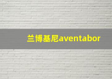 兰博基尼aventabor