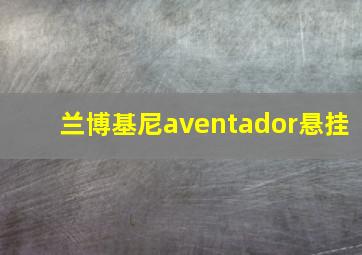 兰博基尼aventador悬挂