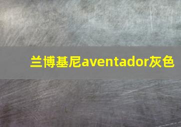 兰博基尼aventador灰色