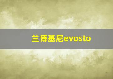 兰博基尼evosto