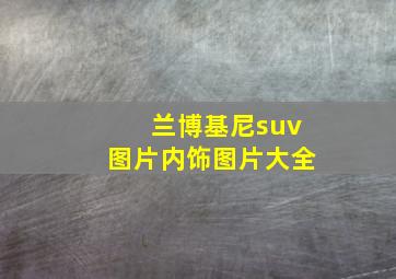 兰博基尼suv图片内饰图片大全