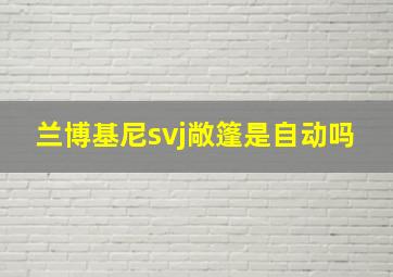 兰博基尼svj敞篷是自动吗