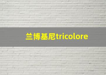 兰博基尼tricolore