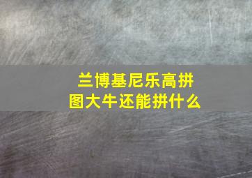 兰博基尼乐高拼图大牛还能拼什么