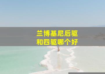 兰博基尼后驱和四驱哪个好