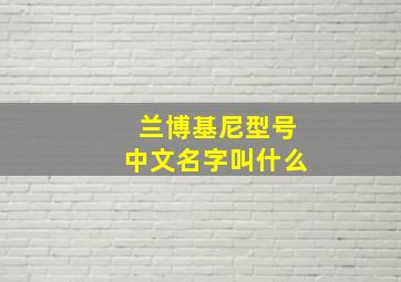 兰博基尼型号中文名字叫什么