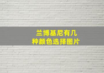 兰博基尼有几种颜色选择图片