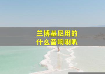 兰博基尼用的什么音响喇叭